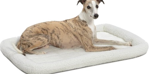 MidWest Deluxe Bolster Pet Bed Only $10.88 on Amazon (Regularly $19)