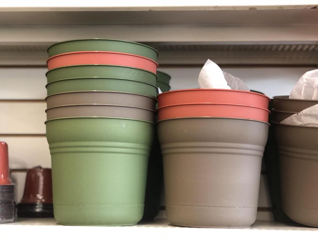 Get Ready for Spring at Dollar Tree! Grab 25¢ Flower Seed