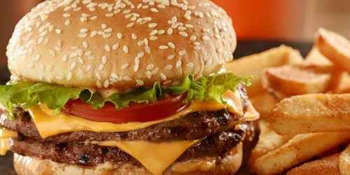 FREE Red Robin Tavern Double Burger AND Bottomless Fries For Teachers (June 5th)