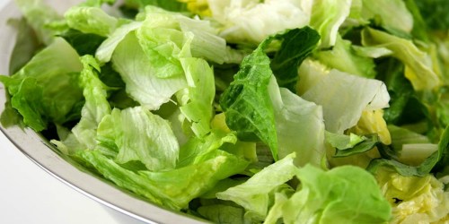 Have Chopped Romaine Lettuce In the Fridge? You May Want to Toss it Out.