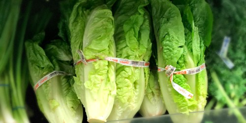 Throw Away All Your Romaine Lettuce, CDC Warns U.S. Consumers