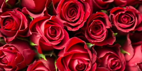 FIFTY Mother’s Day Roses Only $39.99 Shipped at Costco