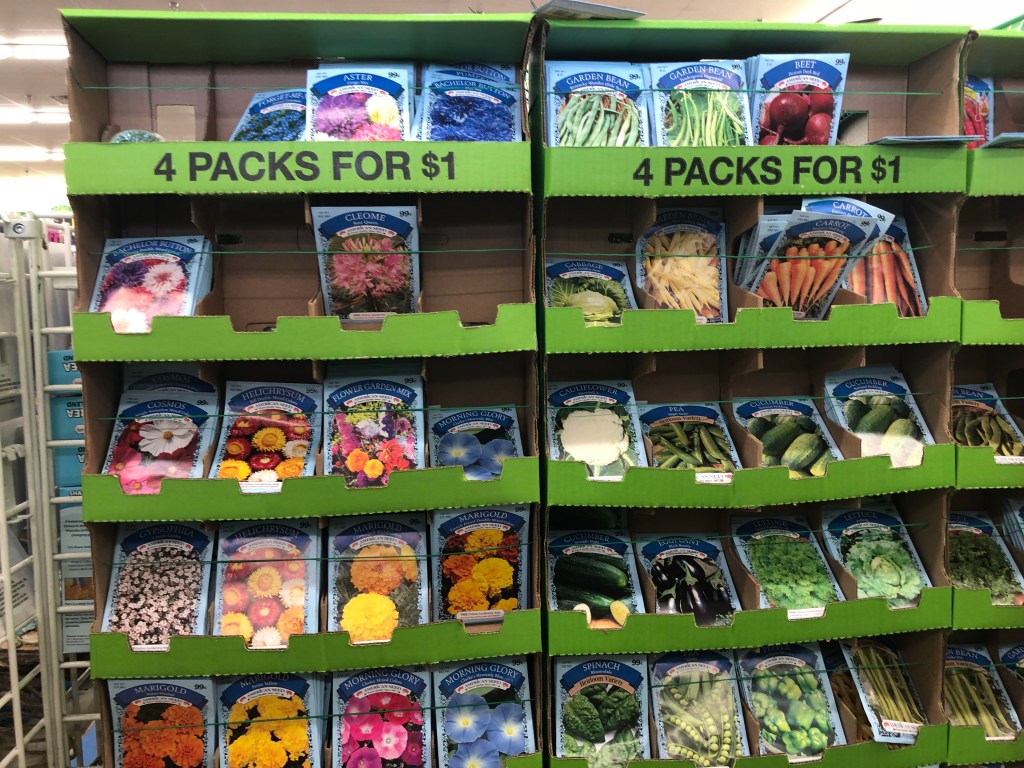 Get Ready for Spring at Dollar Tree! Grab 25¢ Flower Seed Packets, 1