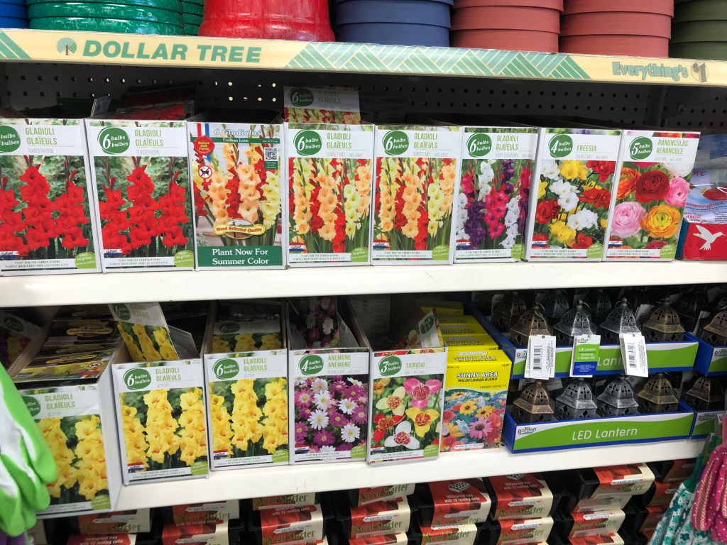 Seed Packets Dollar Tree