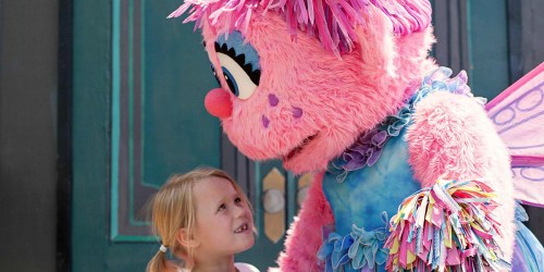 Sesame Place is the First Autism Certified Theme Park