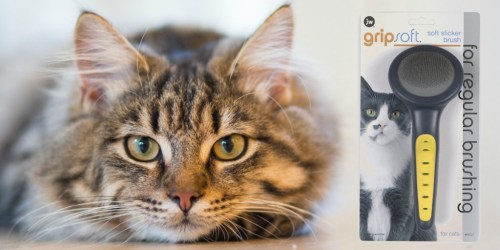 GripSoft Cat Slicker Brush Only $1.49 (Regularly $6) – Ships w/ $25 Amazon Order