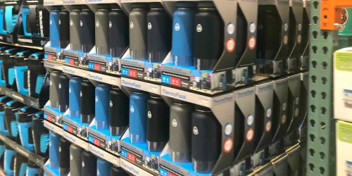 TWO ThermoFlask Stainless Steel 40oz Water Bottles Only $19.99 for Costco Members