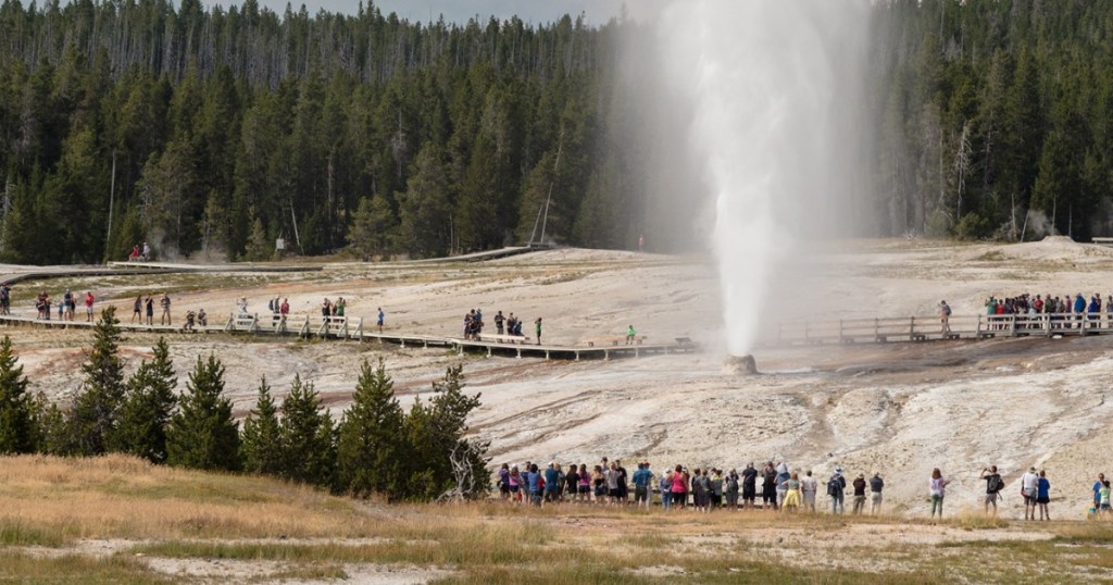 geyser at Yellowstone National Park