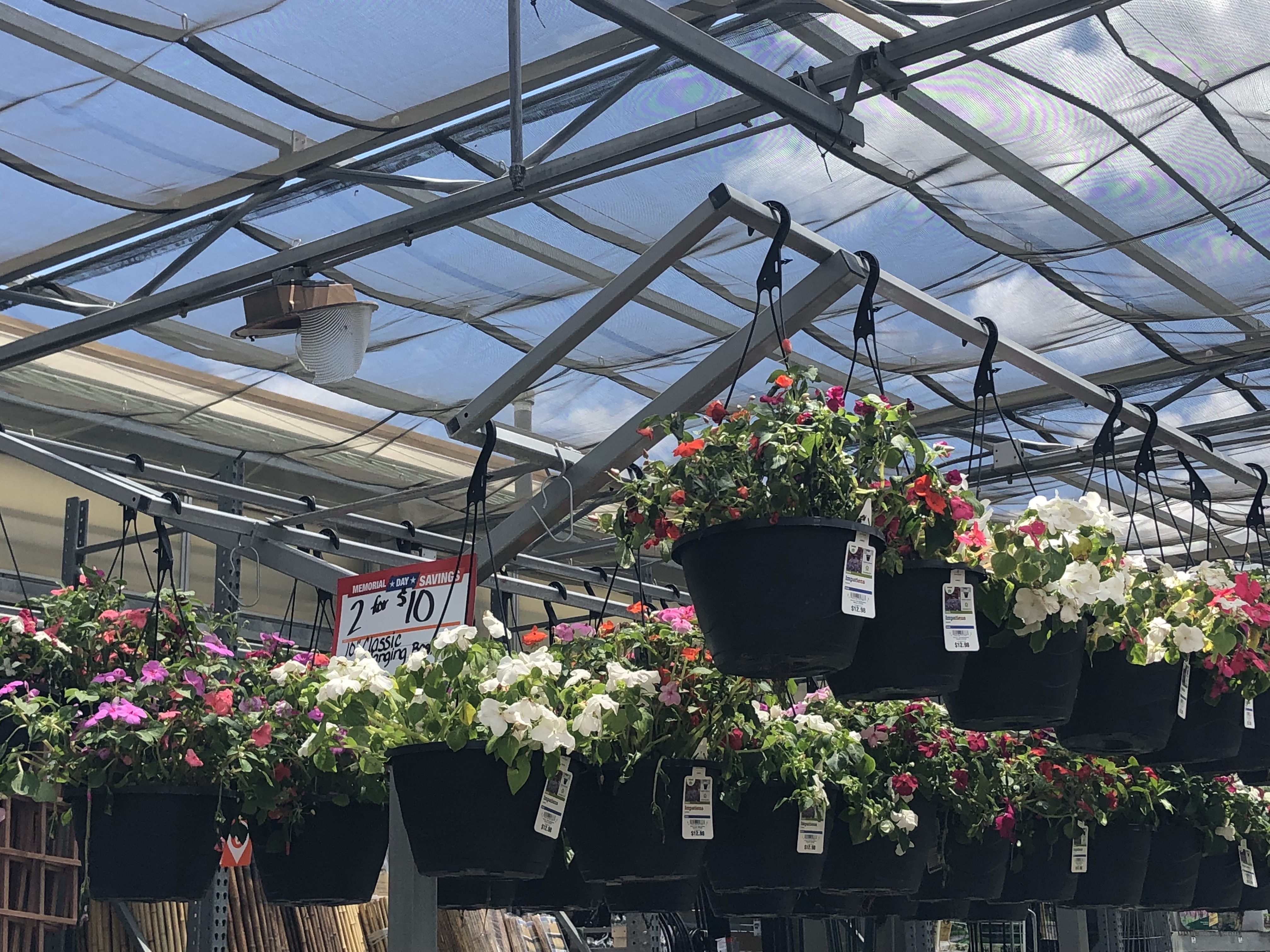 TWO Hanging Baskets Only 10 At Home Depot Just 5 Each   10 Inch Hanging Baskets Home Depot1 