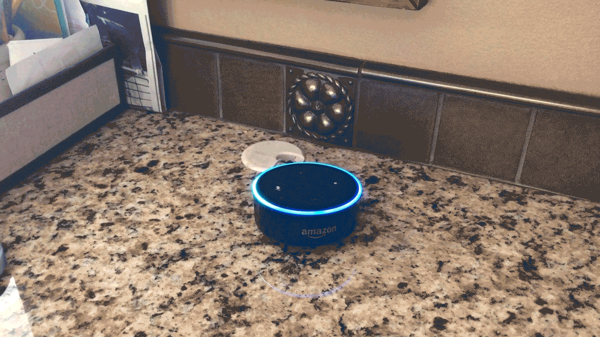 Awesome things Alexa can do includes the 7 minute workout