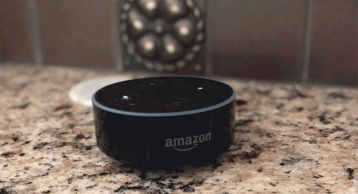 Awesome things Alexa can do includes ordering pizza and takeout