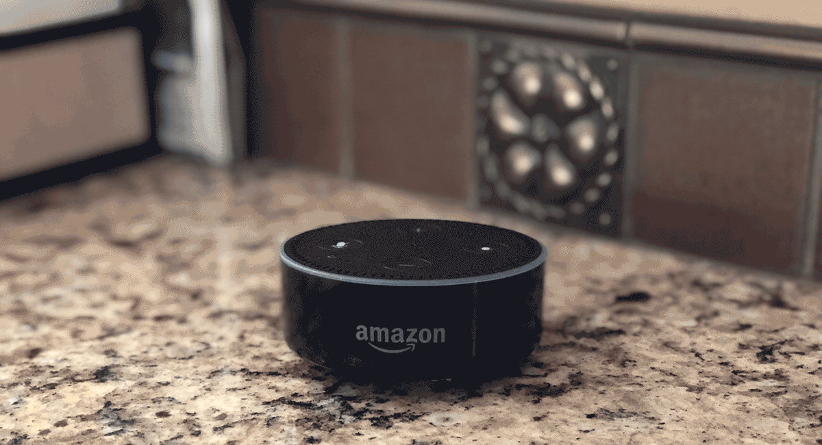 Awesome things Alexa can do includes listening to Philosoraptor