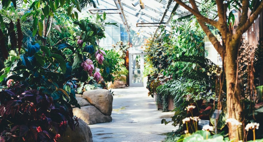 the botanical gardens, one of the fun activities for kids