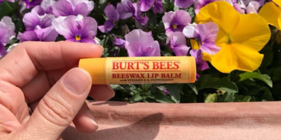 Burt’s Bees Lip Balm 4-Pack JUST $5.59 Shipped (Only $1.40 Each!)