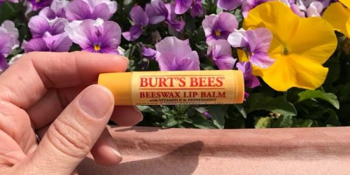 Burt’s Bees Moisturizing Lip Balm 2 Pack Only $2.89 (Regularly $6)