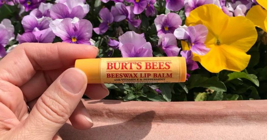 Burt's Bees Lip Balm