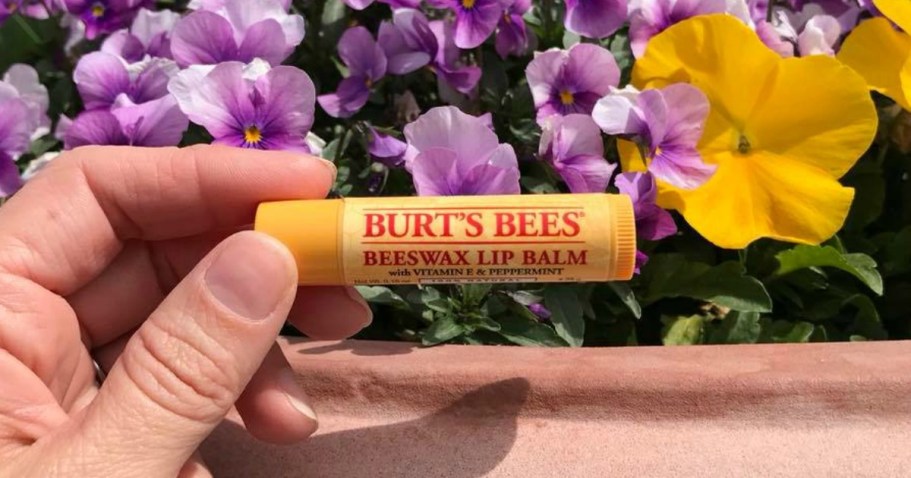 Today ONLY! Burt’s Bees Lip Balm 4-Pack JUST $4.79 Shipped ($1.40 Each!)