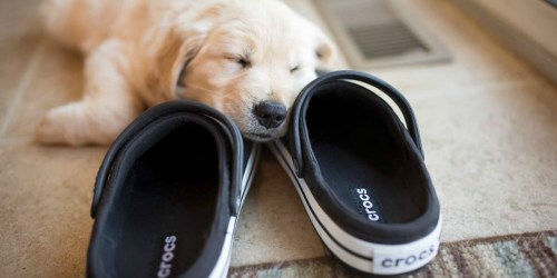 Is the Crocs Brand Going Out of Business Soon? Here’s the Deal.