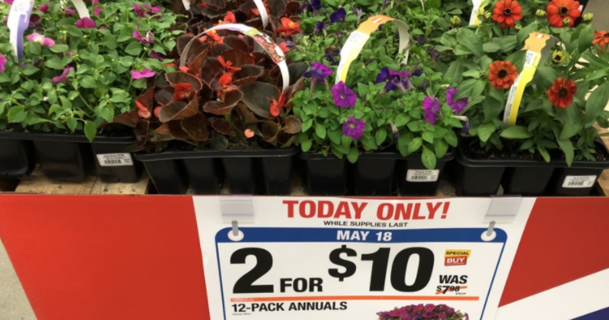 Home Depot 12Pack Annuals 2/10 Just 5 Each (InStore Only)