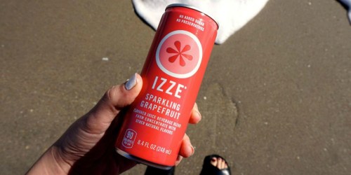 Amazon: IZZE Sparkling Juice 24-Count Variety Pack Just $9.42 Shipped (Only 39¢ Per Can)