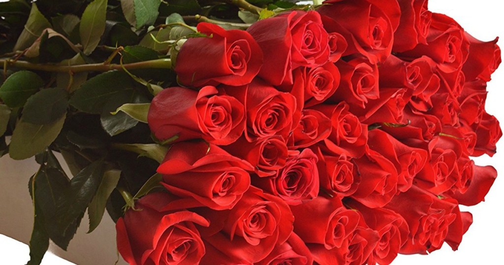 96 Long Stemmed Roses Only $61.16 Shipped For Amazon Prime Members