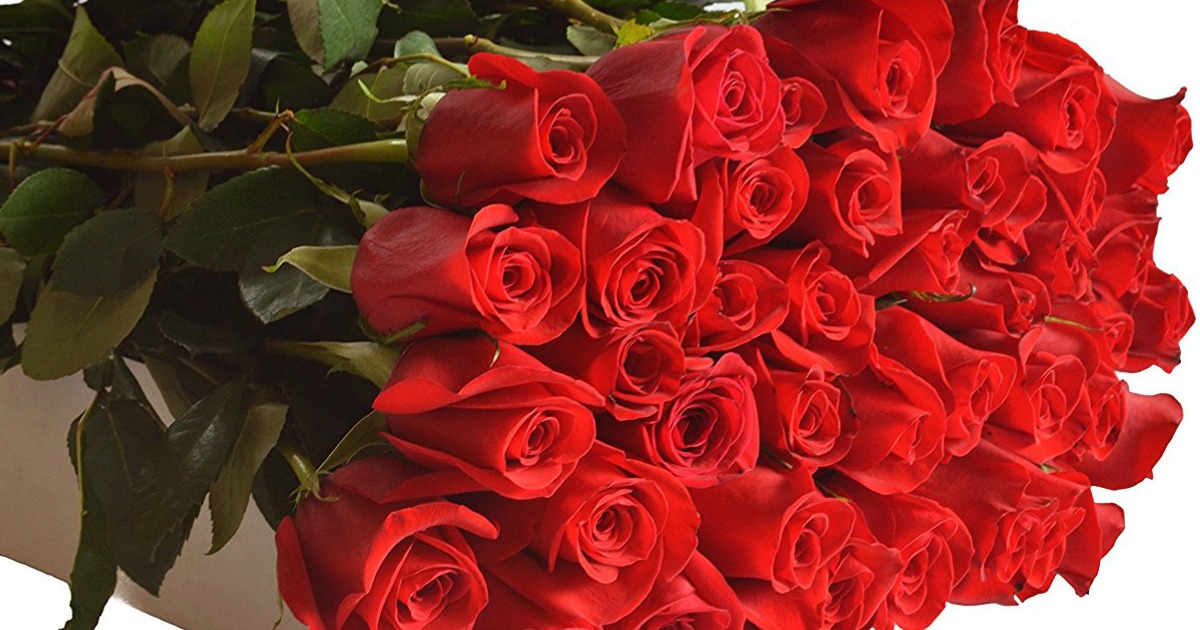 50 Stem Red Roses Just $49.99 Delivered