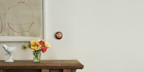 Nest Copper Learning 3rd Generation Thermostat AND Google Home Mini Only $199 Shipped