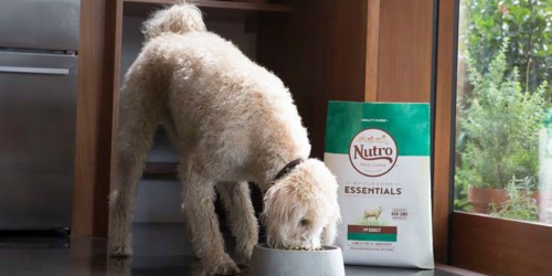 Amazon: Up to 55% Off Nutro Dog & Cat Food & Treats