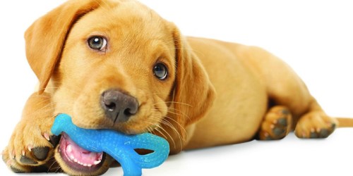 Amazon: Up to 60% Off Nylabone Dog Toys & Treats
