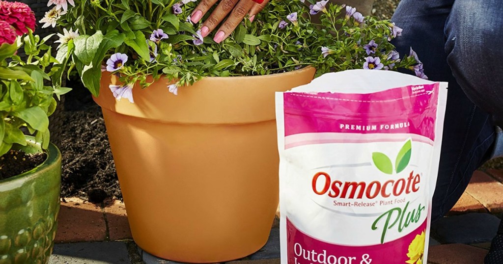 osmocote plant food bag