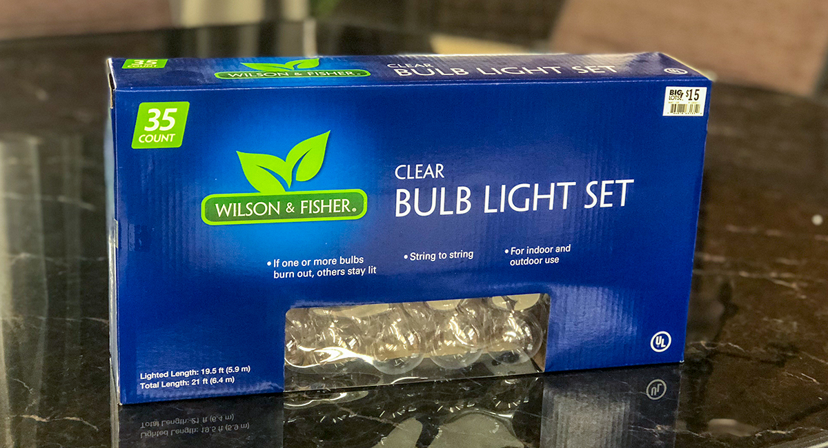 budget patio finds — outdoor clear bulb string lights