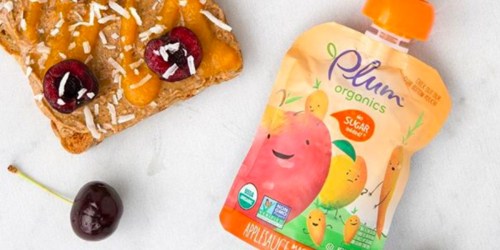 Amazon: 24 Plum Organics Mashups Only $12.47 Shipped
