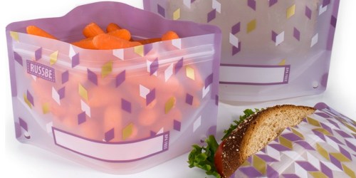 FOUR Reusable Snack & Sandwich Bags Just $7.98 Shipped