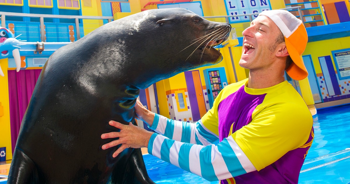 man in colorful clothing playing with a large sea lion