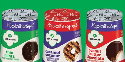 FREE Yoplait Girl Scouts Yogurt eCoupon for Meijer mPerks Users