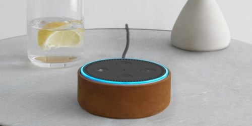 Amazon Echo Dot Leather Cases Just $5.99 (Regularly $20) + More