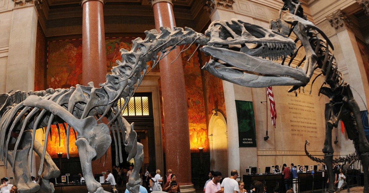 free museum admission – American Museum of Natural History