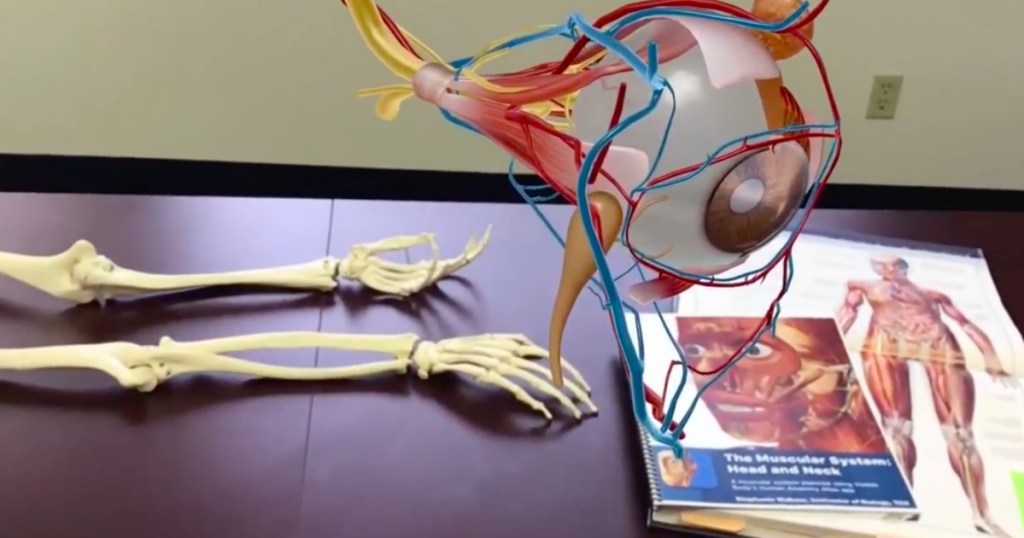 Human Anatomy App screen shot