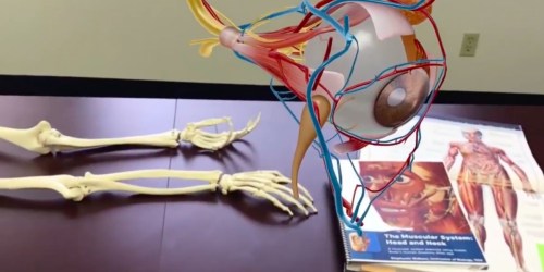 Human Anatomy Atlas 2021 Human Body 3D App Just 99¢ (Regularly $25) | Android or iPhone