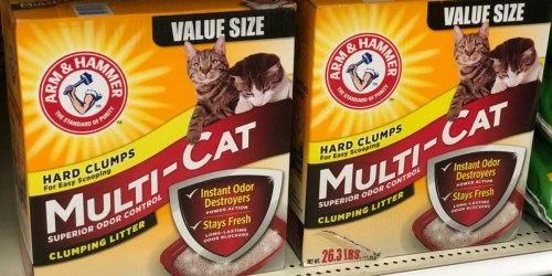 TWO Arm & Hammer Cat Litter Value Size Boxes Just $10.58 After Target Gift Card (Regularly $22)