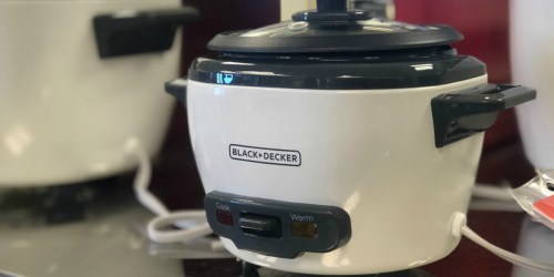 Small Kitchen Appliances ONLY $9.99 After Macy’s Mail-In Rebate (Regularly $60)