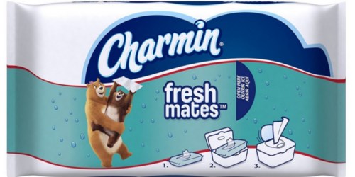 Charmin Freshmates Flushable Wet Wipes 40 Count Packages Only $1 Each