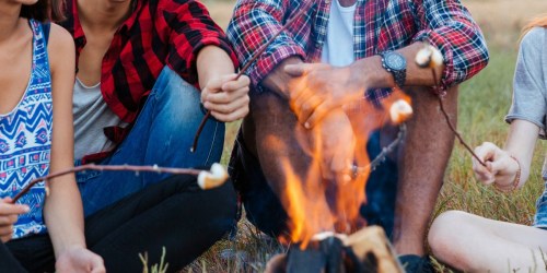 Walmart.com: Fatwood Firestarter Kindling Sticks 10LB Box Just $12.98