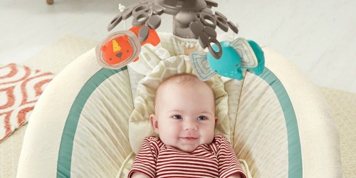 Fisher-Price Deluxe Bouncer Only $39 Shipped (Regularly $65)