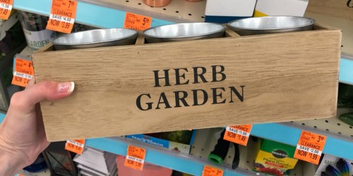 Possible 50% Off Garden Clearance at Walgreens (Tiki Torches, Succulents, & More)