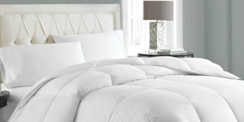 Goose Feather & Down Comforter ALL Sizes Only $50.99