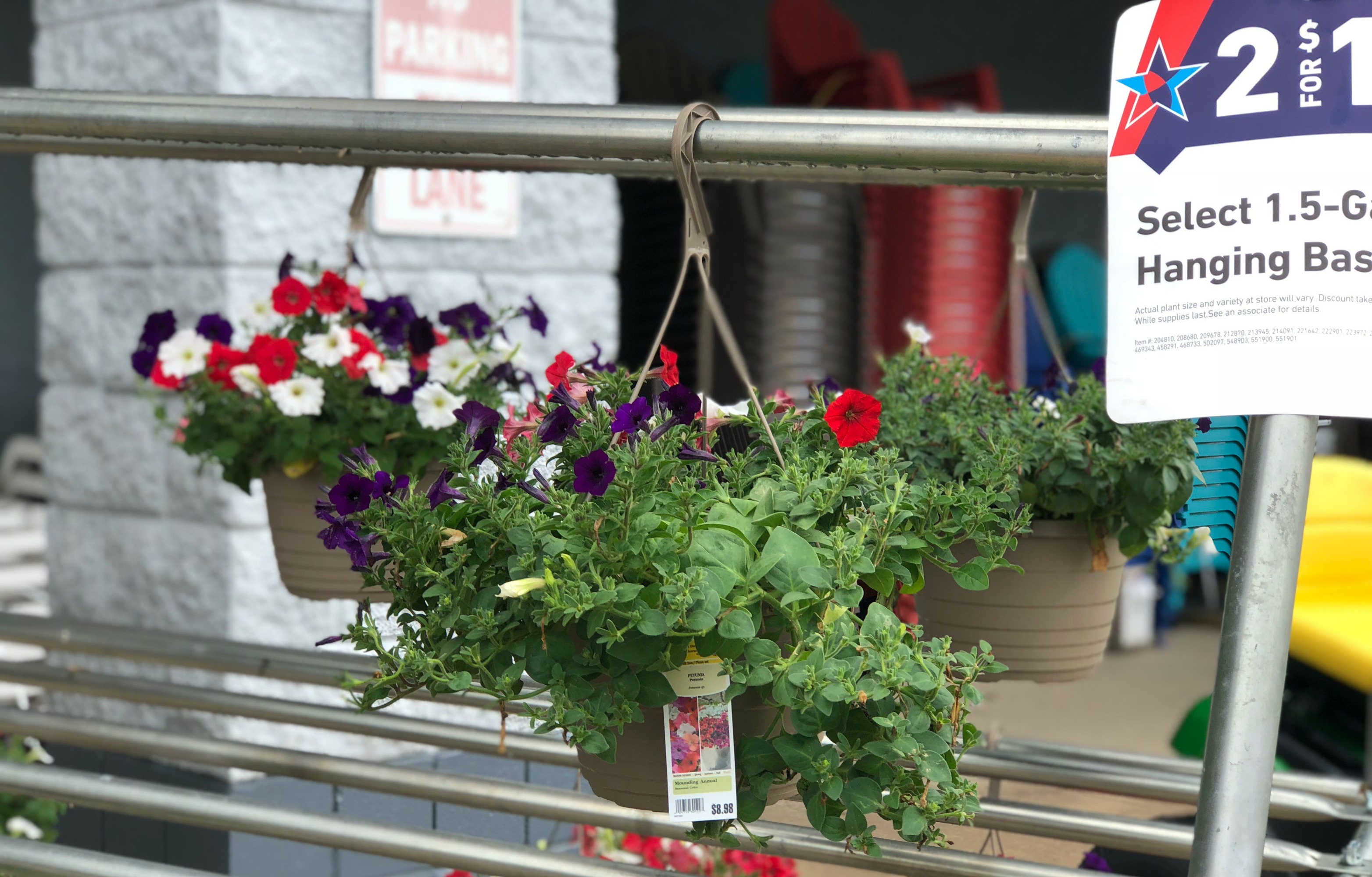 Hanging Flower Baskets Just 5 Each At Lowe S   Lowes Hanging Baskets1 