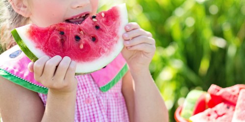 Fresh Cut Melon Products Being Recalled Due to Possible Salmonella Contamination