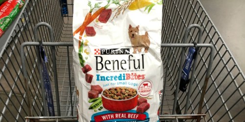 Purina Beneful Dog Food 3.5lb. Bag Only $2.48 at Walmart (Regularly $5.48) & More