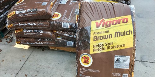 BIG Mulch Bags Only $2 at Home Depot or Lowe’s + More Garden Deals